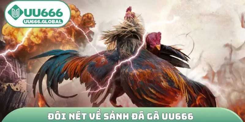 Đôi nét về sảnh đá gà UU666