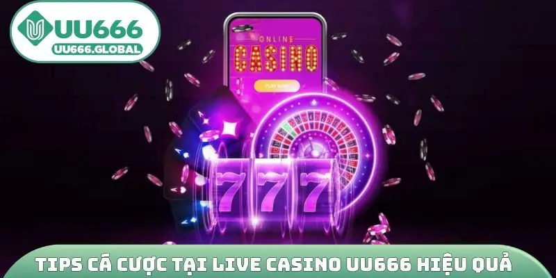 Tips cá cược tại Live casino UU666 hiệu quả
